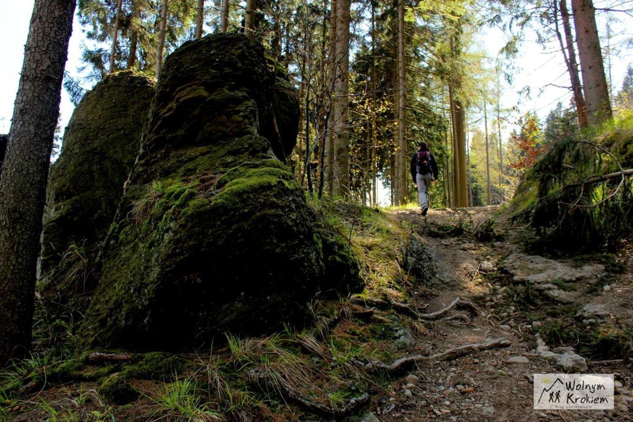 Apartamenty Black&White Lubawka - Domek Z Ruska Bania I Sauna Екстер'єр фото